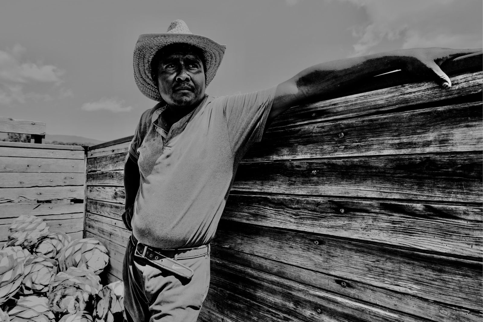 Fotografía Profesional